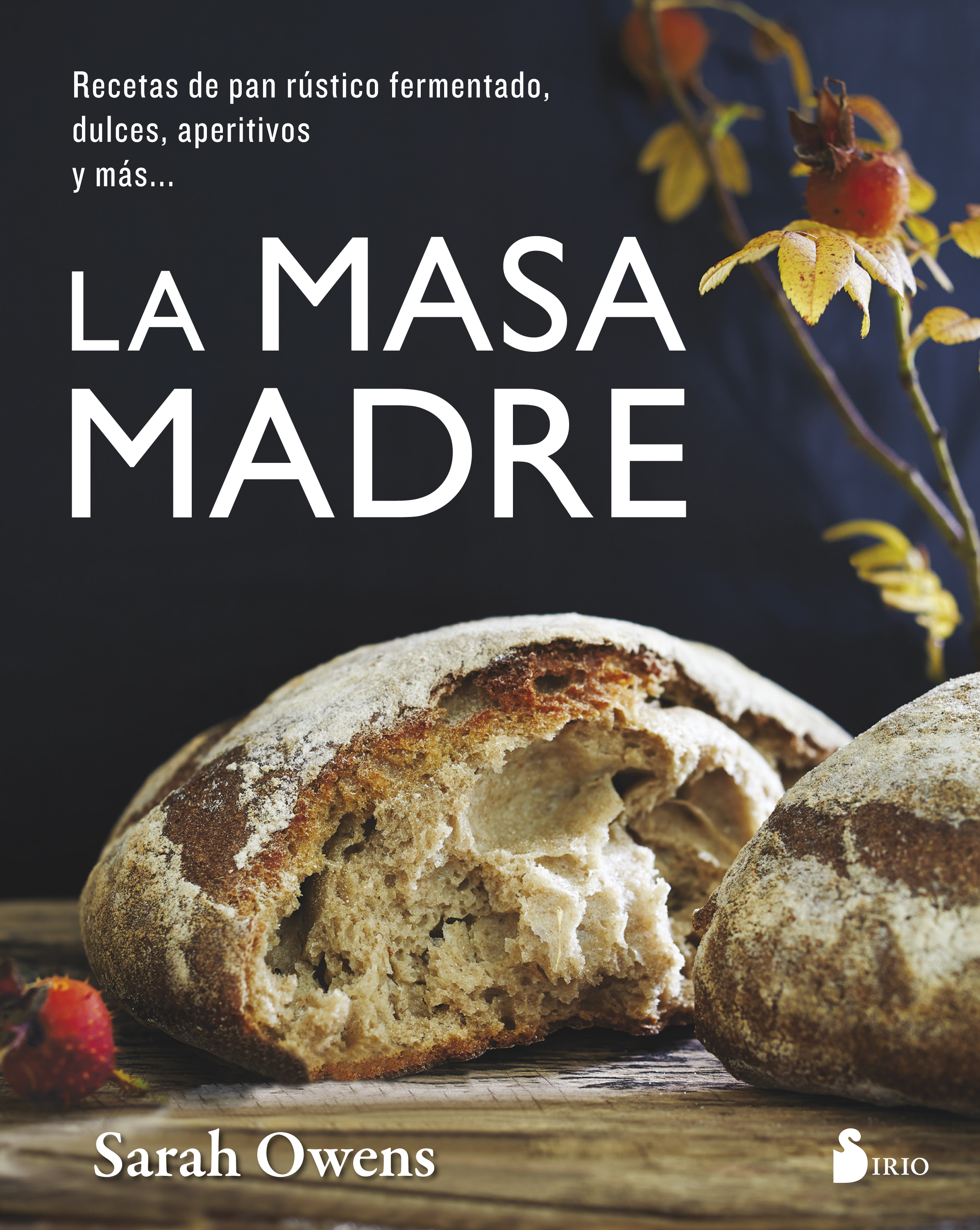 MASA MADRE, LA                                                        